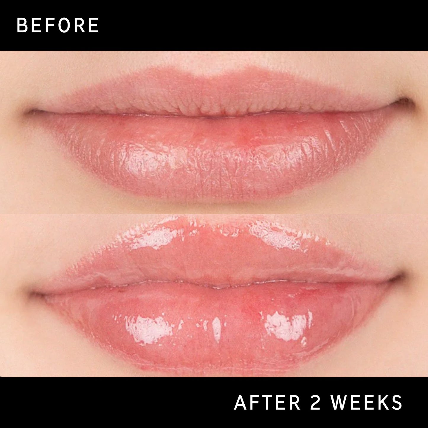 lip-plumping-duo-o4 DTC-Top15_Amends_Tripeptide-Lip_B_A.jpg