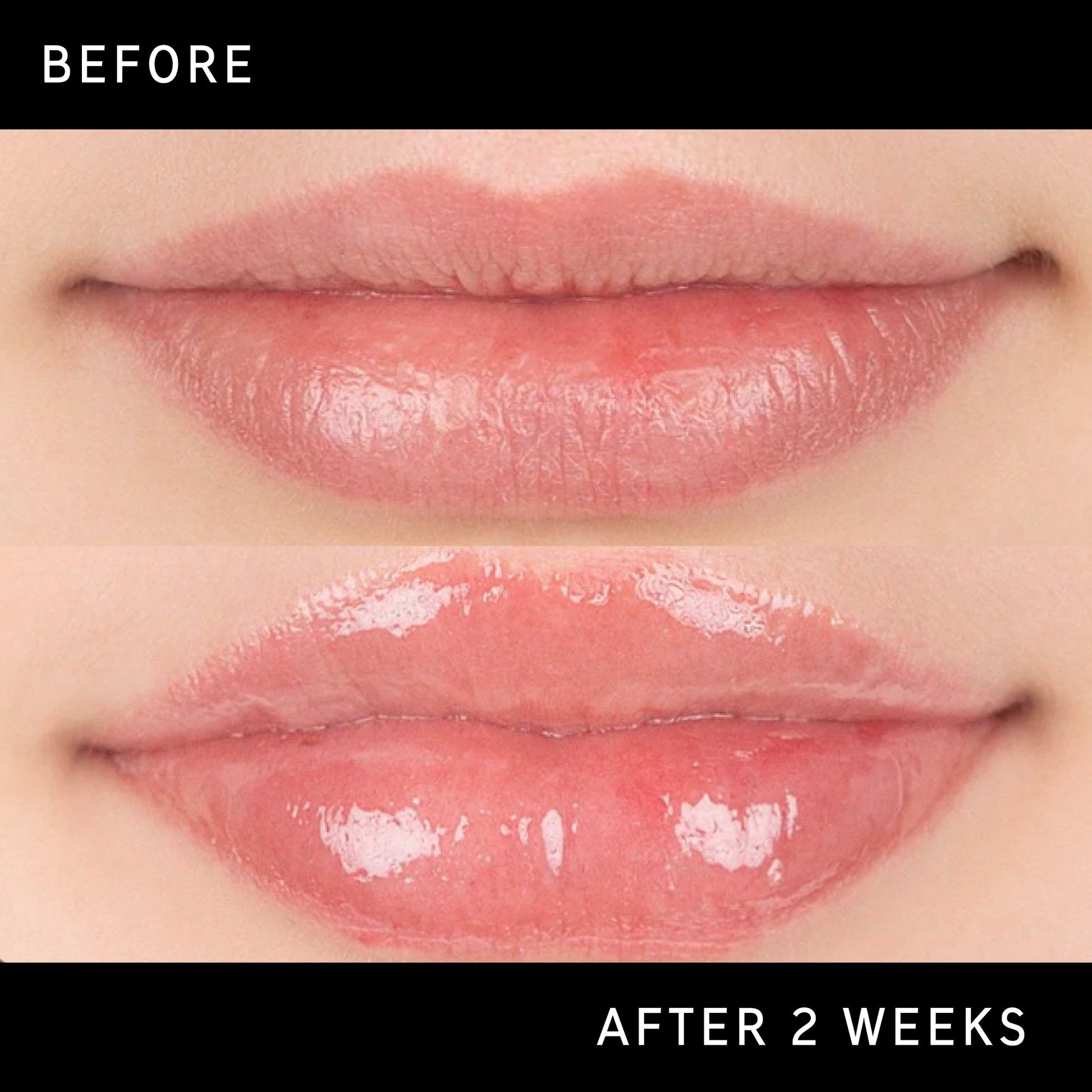 tripeptide-plumping-lip-balm-o3 DTC-Top15_Amends_Tripeptide-Lip_B_A.jpg